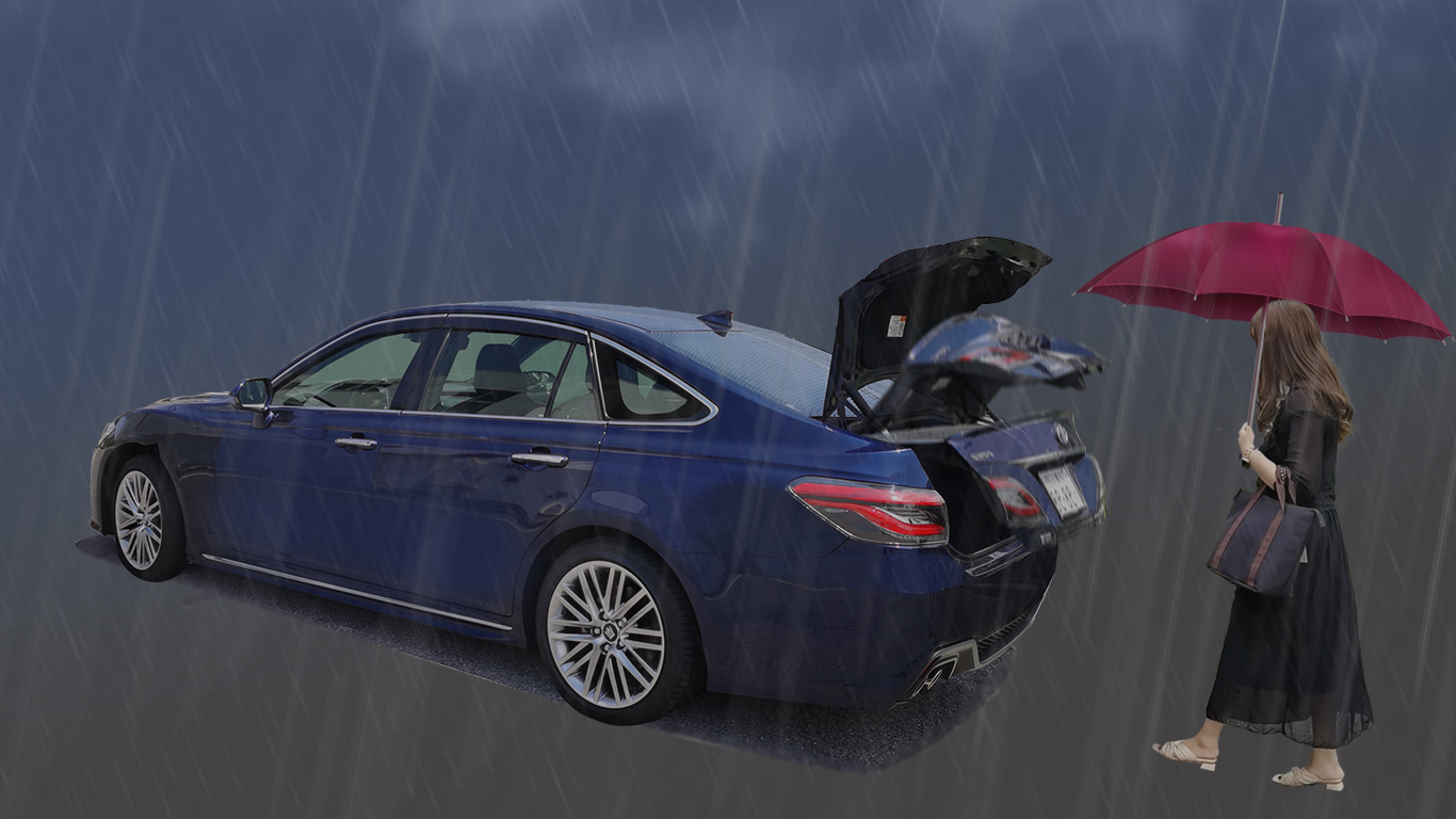 オプションの画像